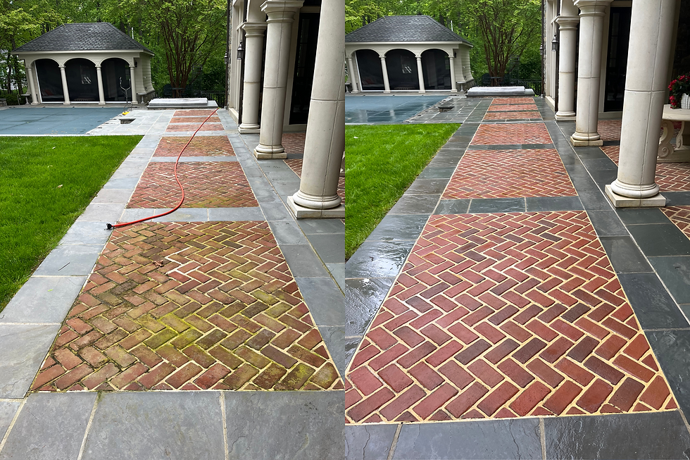 Fungicide treatment and pressure cleaning for a brick and flagstone patio in Potomac, MD
