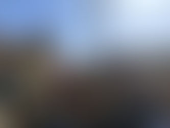 Rassemblement pour l'Ukraine, un manque de revendication criant