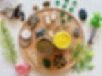 Thumbnail: Safari Life Play Kit