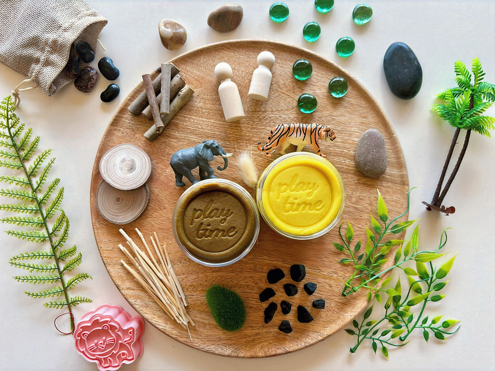 Μικρογραφία: Safari Life Play Kit
