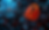 Screen Shot 2025-03-22 at 11.20.06 PM.png