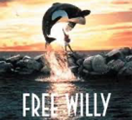 Free Willy.png