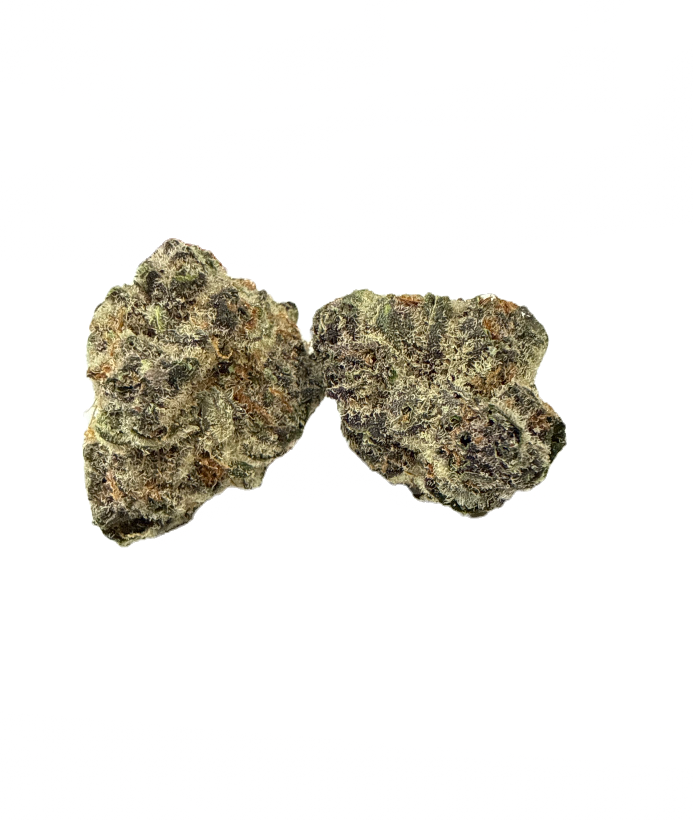 $109oz Black Cherry Soda Sativa Dom