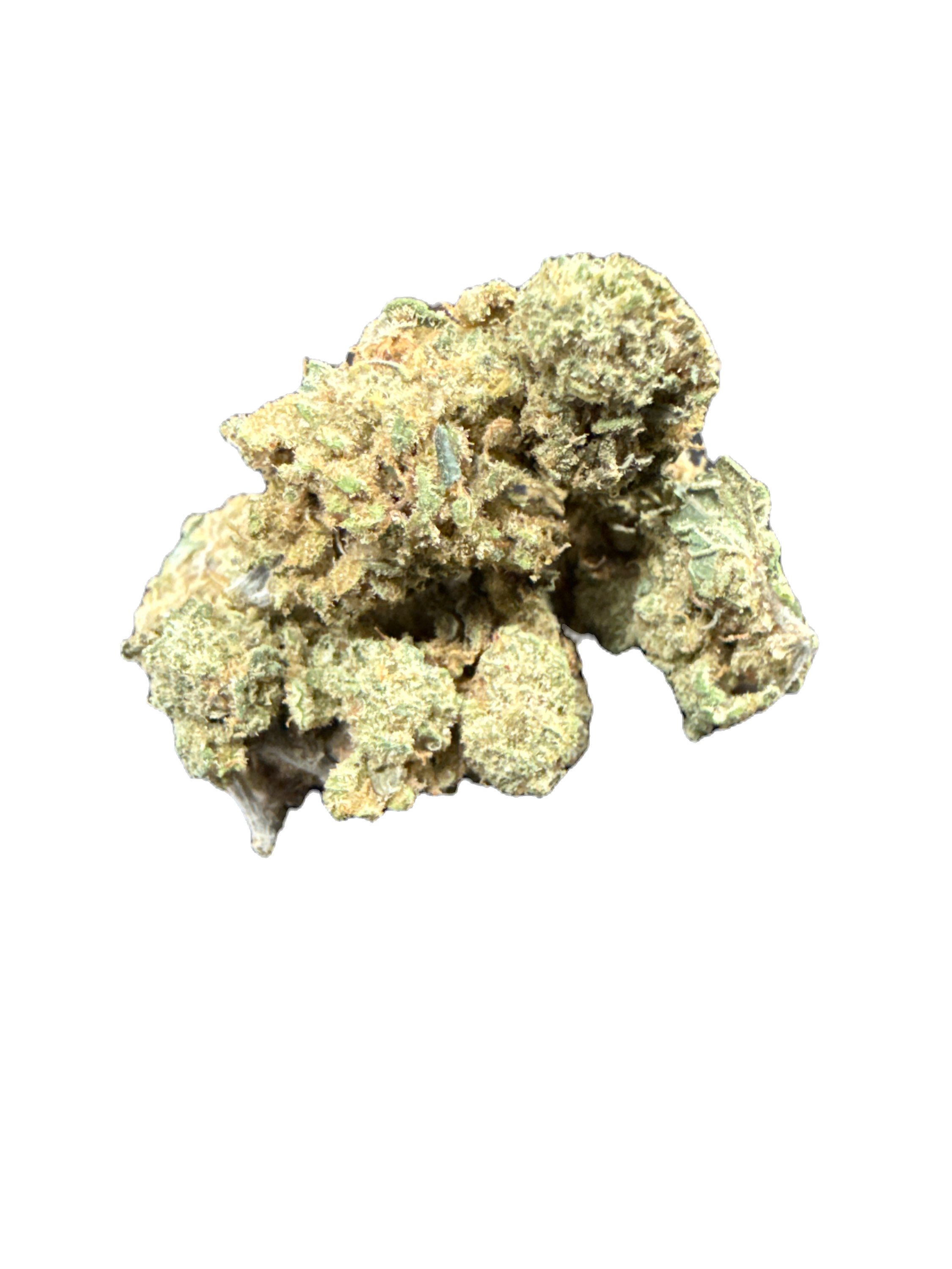 $99oz Black Tuna LSO Smls Indica Dom