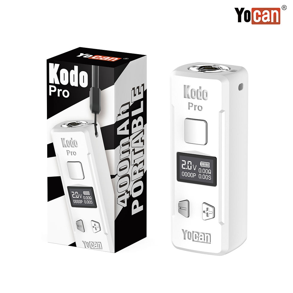 Thumbnail: Kodo Pro Portable Battery