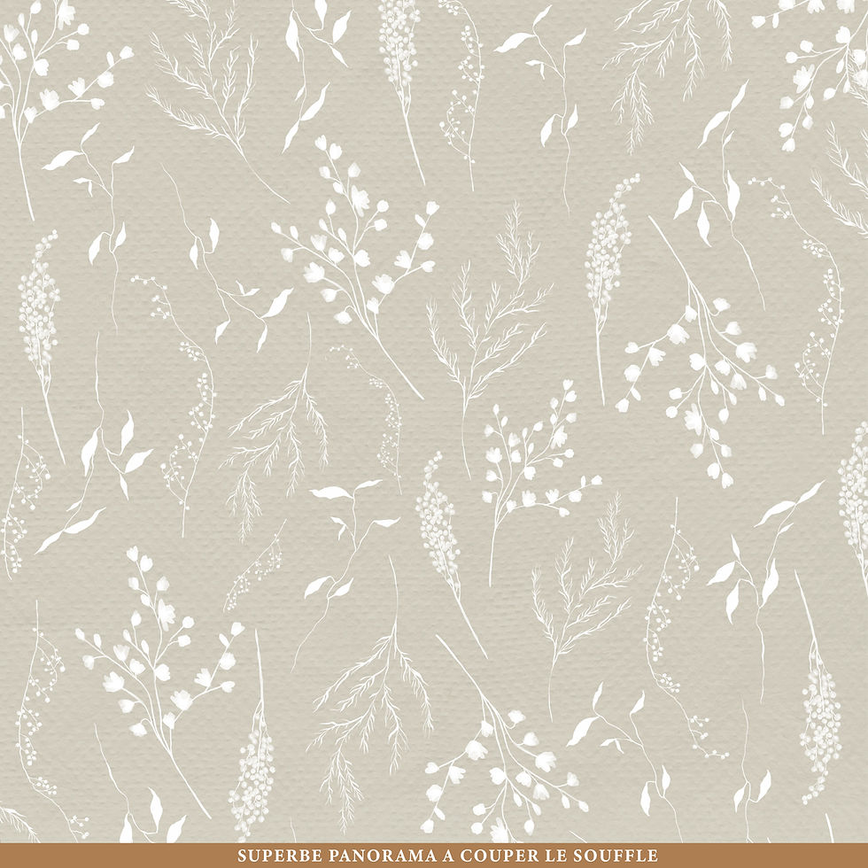 Thumbnail: PAPIER SCRAP RV 02 EXPLORE * (Sans bande de marque)