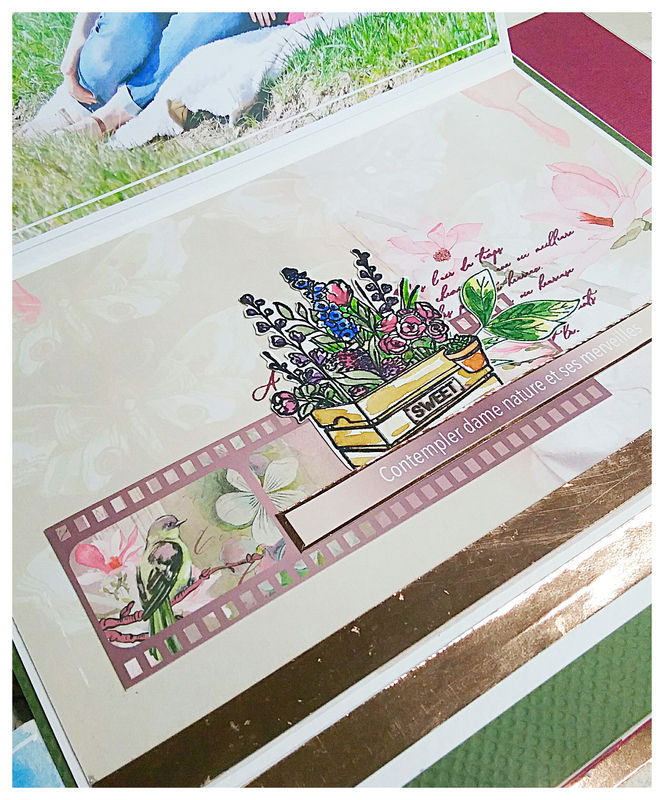 Thumbnail: PAPIERS 07 BLOOM