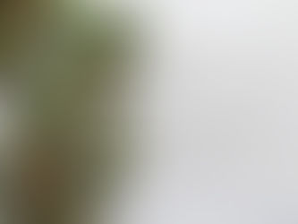 A home made Christmas wreath