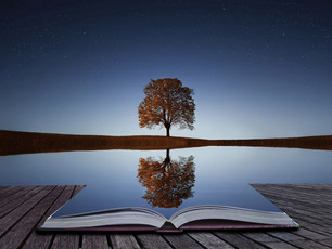 ...Grow a New Set of Wings and Fly - Reflection