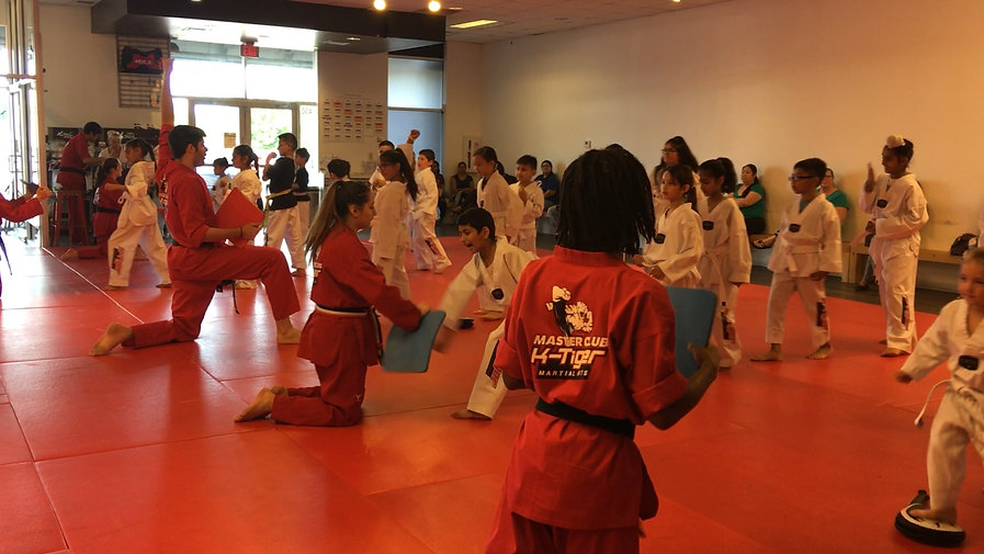 kid martial arts