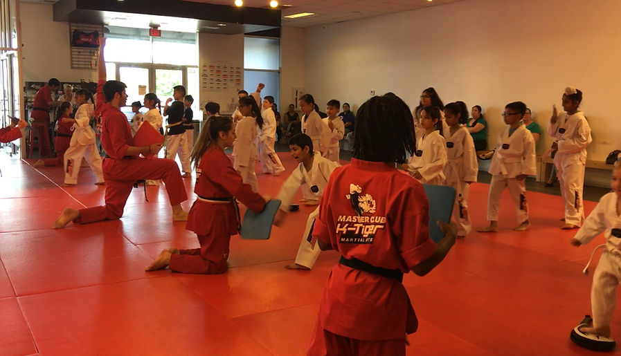 kid martial arts