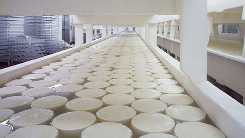 Предимства и качества на продуктите ни