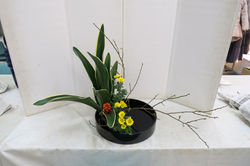 IMG_0047_1