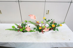 IMG_0011_1