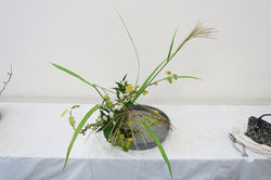 IMG_0011_1