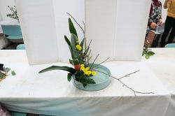 IMG_0059_1