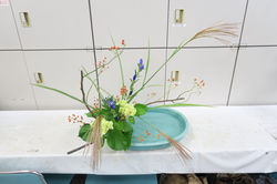 IMG_0020_1