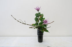 IMG_0012_1