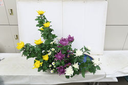 IMG_0050_1