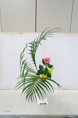 IMG_0047_1