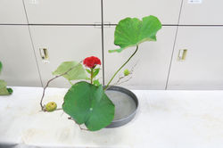 IMG_0024_1
