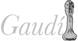 premisgaudi.png