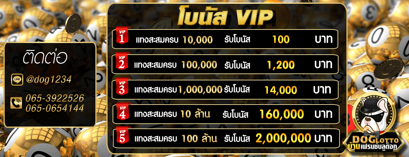โบนัส-VIP.gif