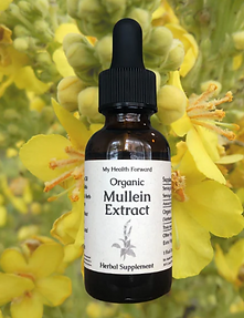 tincture mullein mhf.png