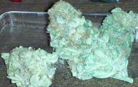 White Diesel