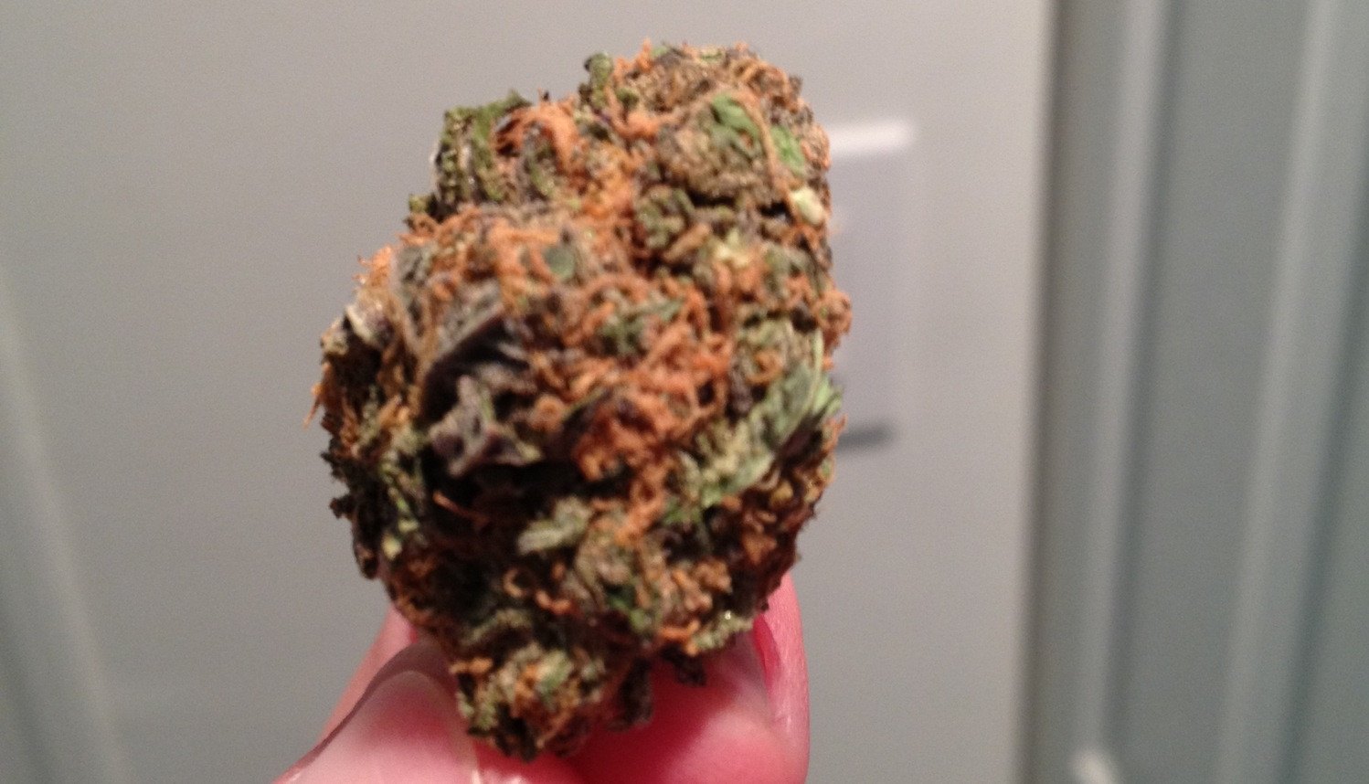 Purple kush
