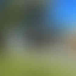 Boss Garden Rooms - Garden Office with Patio