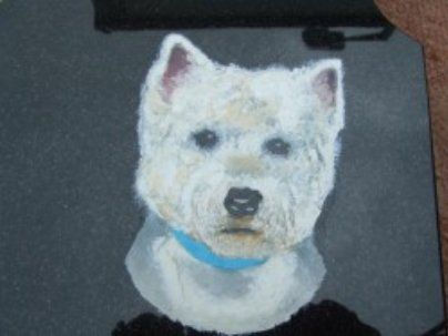 quality masonry services - dog