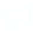 icons8-megaphone-64 (1).png