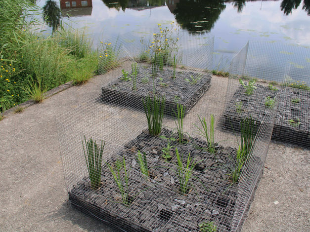 Drie roestvaststalen fabriekseilanden worden voorbereid voor de installatie van het NABU-proefproject in het Spoykanaal in Kleef.