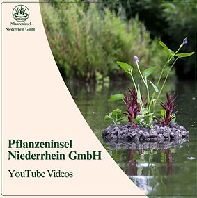 Eine schwimmende Pflanzeninsel auf dem Teich mit dem Titel "Pflanzeninsel Niederrhein GmbH YouTube Videos"