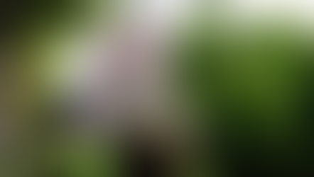 Kırım Anglikan Kilisesi