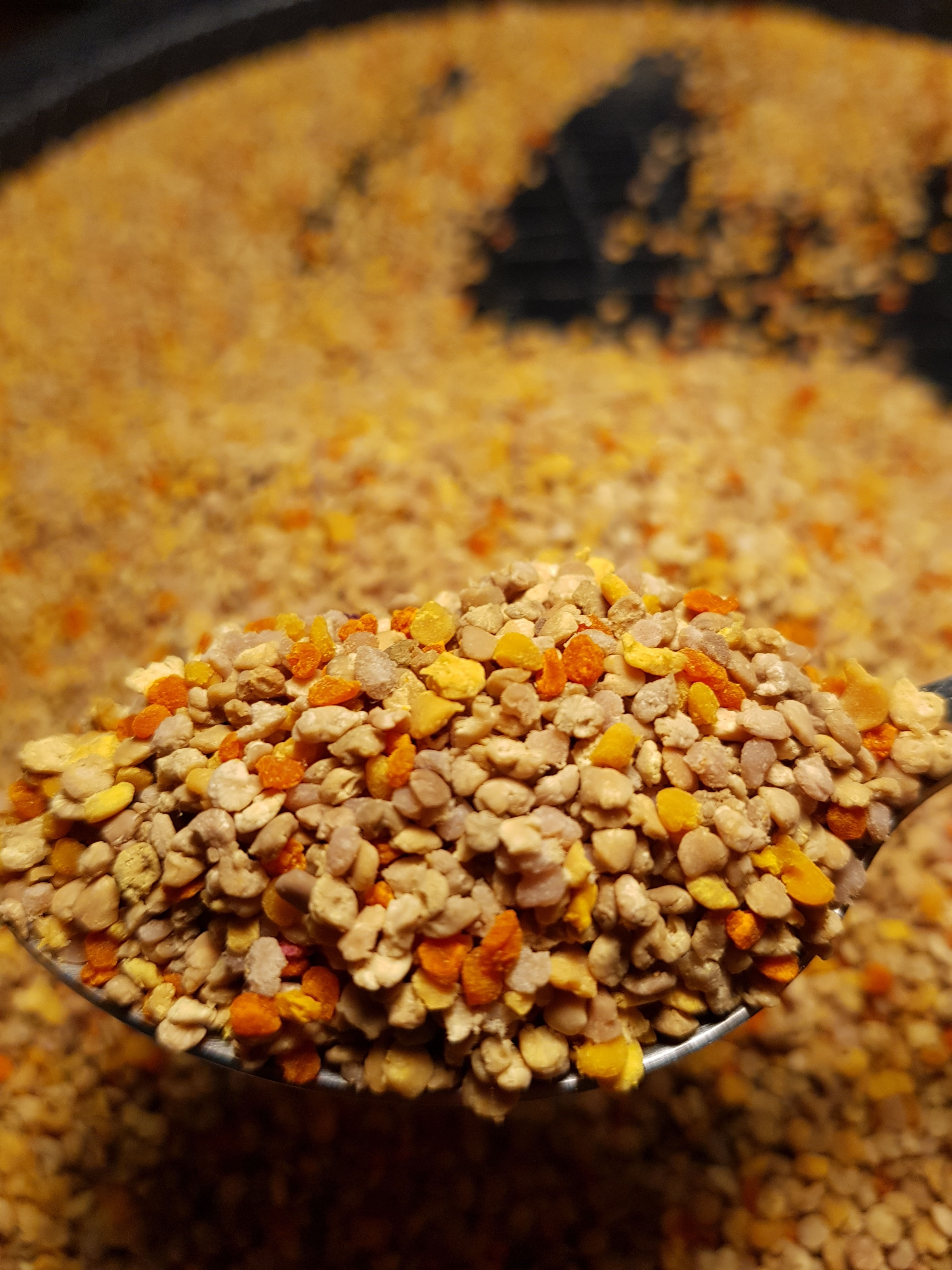 Νωπή Φρέσκια Γύρη