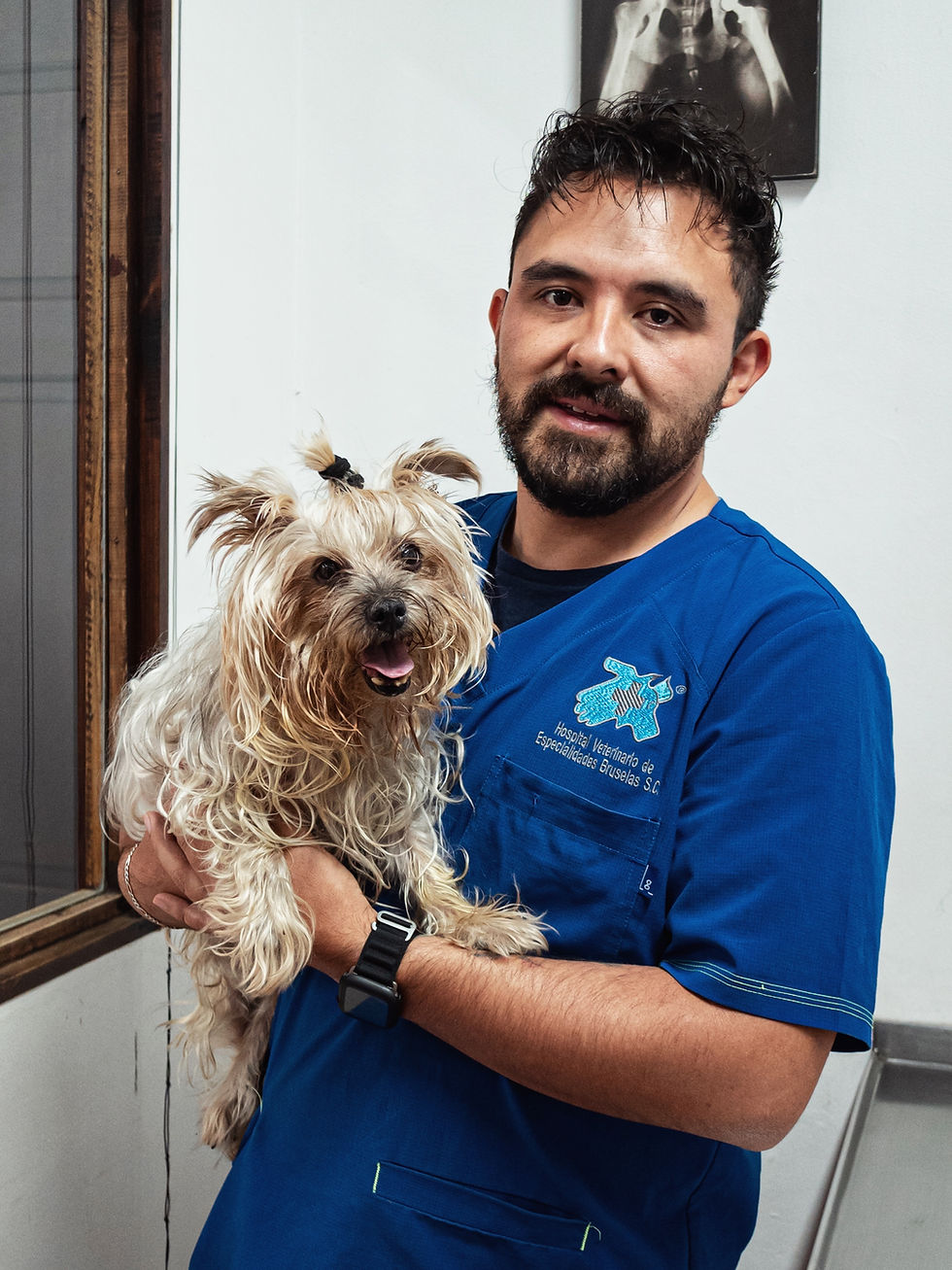 Cómo la Fisioterapia y Rehabilitación Canina Beneficia a las Mascotas Después de una Cirugía