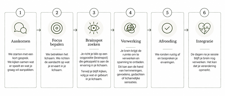 Stapsgewijze weg naar integratie.png