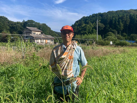 夏の畑仕事のお手伝い@埼玉県ときがわ町 晴耕雨読