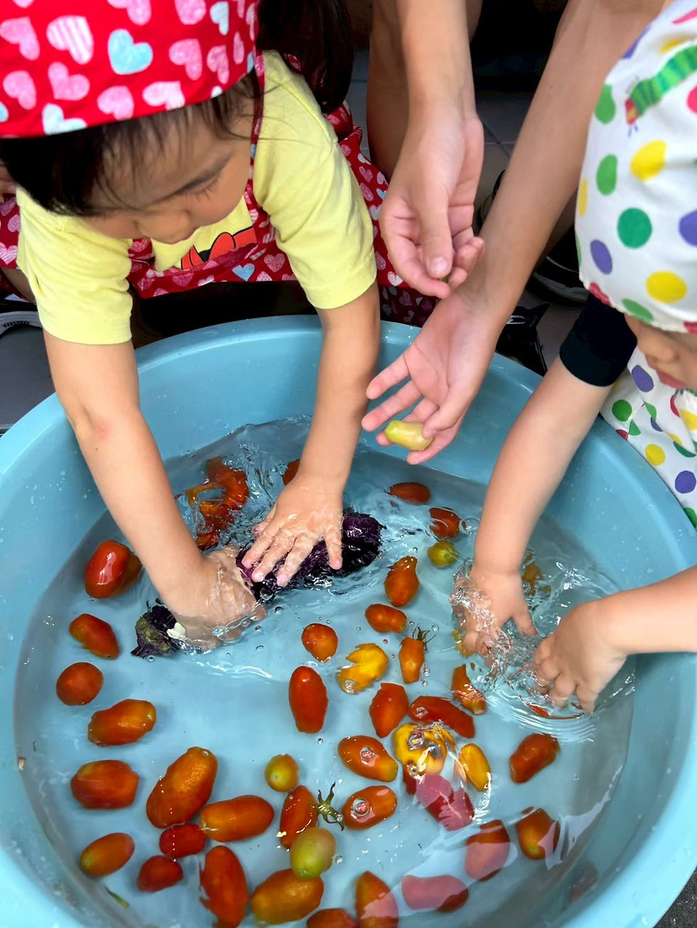 夏休み親子WS たまねぎ麹作り＆夏野菜収穫＆夏野菜カレー作り＠埼玉県北本市