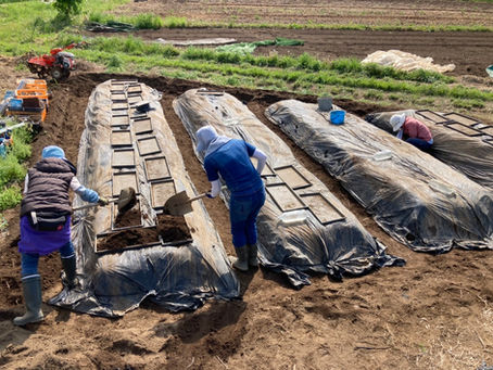 募集:GW苗植え祭り 畑仕事のお手伝い/援農@埼玉県ときがわ町