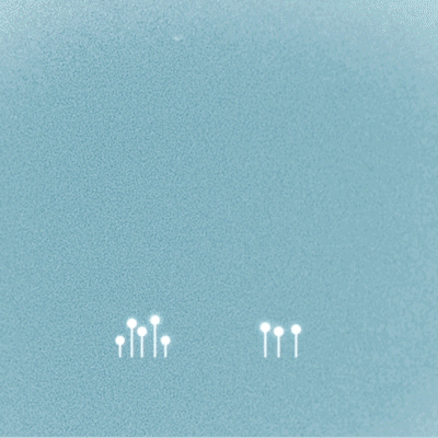 FLOAT-400