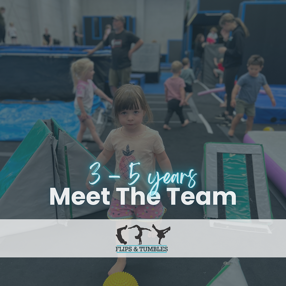 Meet The Team | 3 - 5 years
