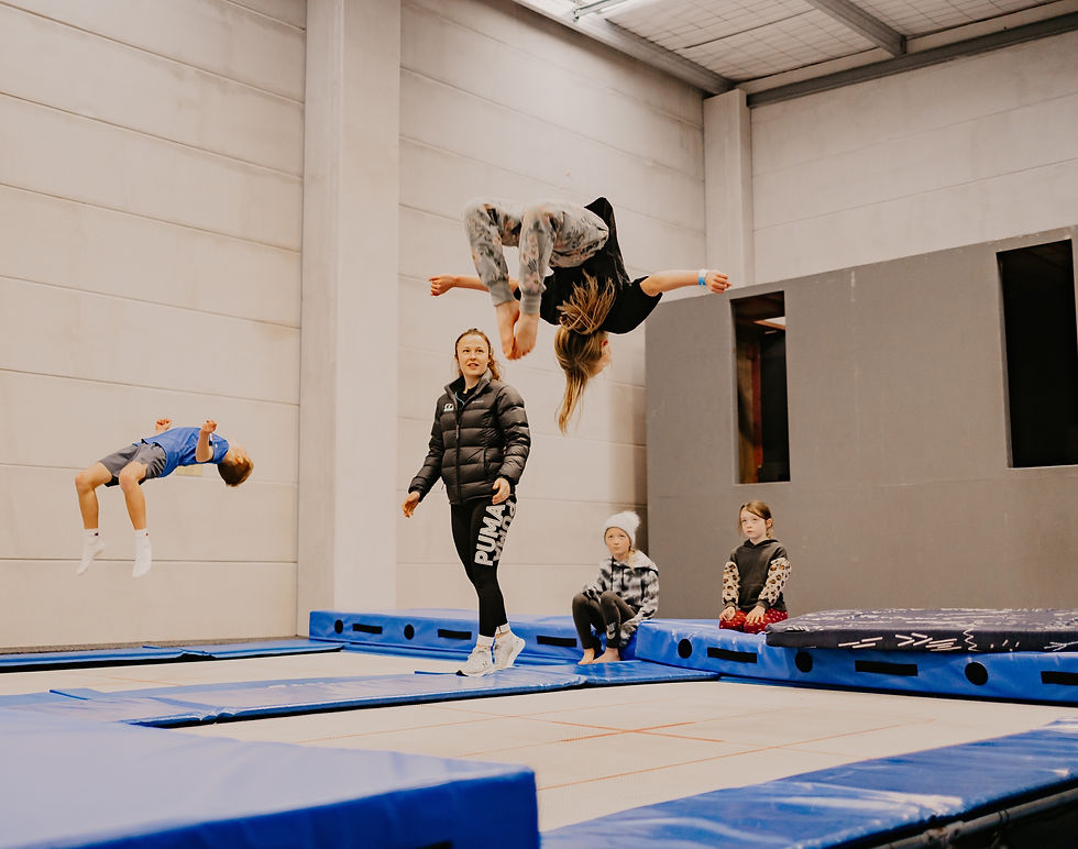 Term 1 2022 | KNO Deal