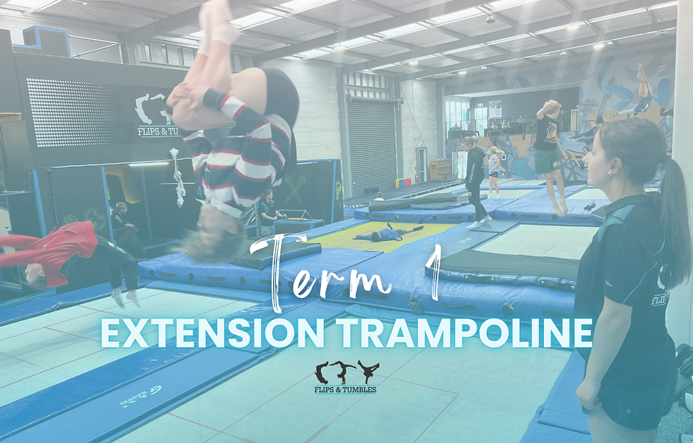 T1 2026 | Extension Trampoline