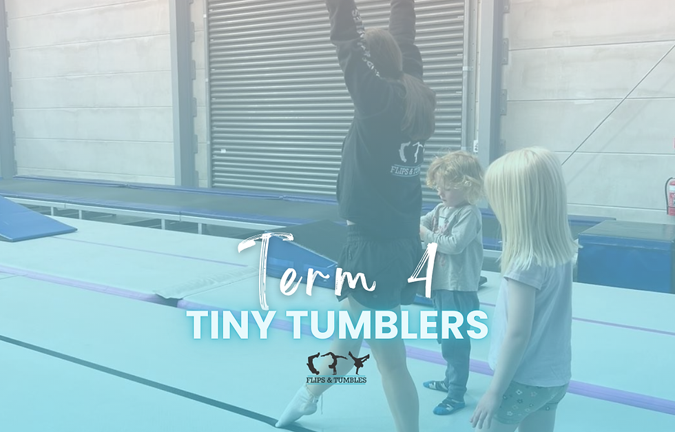 T4 2025 | Tiny Tumblers