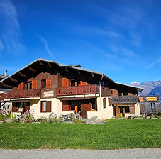 20241110_113612_edited.jpg