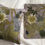 Thumbnail: Blue Grey Cushion Cover, pillow case, 14 x 14 inch