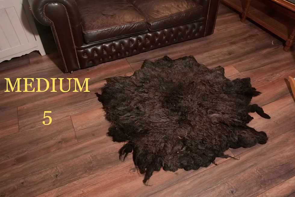 Thumbnail: Luxurious Sheep Fleece Rugs – Hebridean & Valais Black Nose FROM 80£